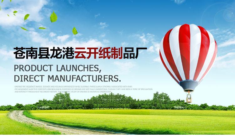 【特价】厂家特价a4复印纸|70克太阳鸟双a***打印复印纸4000张8包件